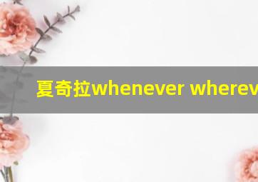 夏奇拉whenever wherever mv